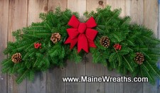 Beautiful Arch of Maine Balsam Fir