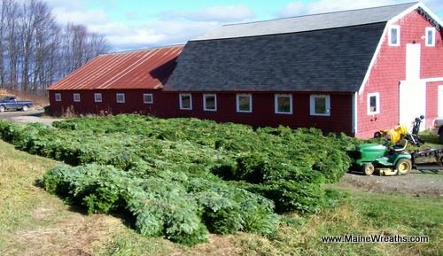 Exterior of Our Barn