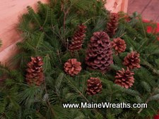 Click this image for a larger version of our Holiday Box of Greens!
